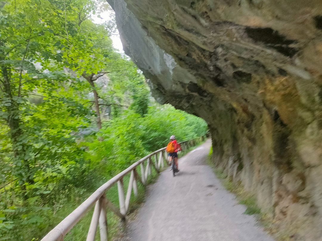 Bici Senda del oso景点图片