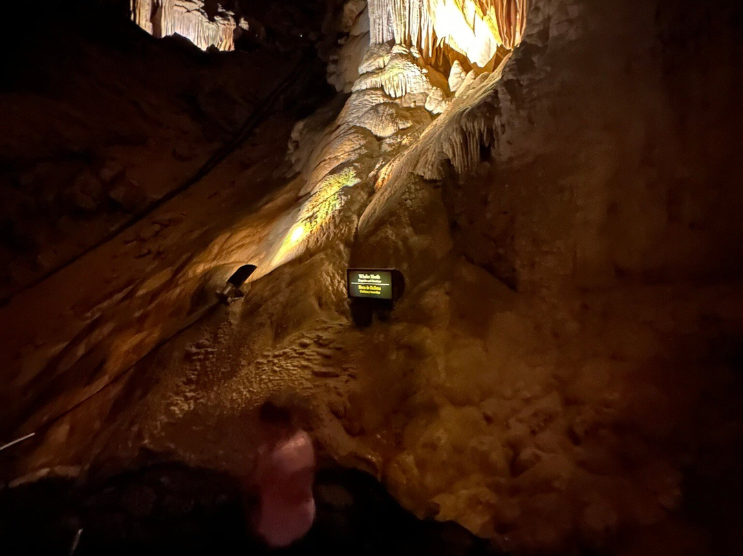 Carlsbad Caverns National Park Visitor Center-卡尔斯巴德洞穴国家公园必去景点