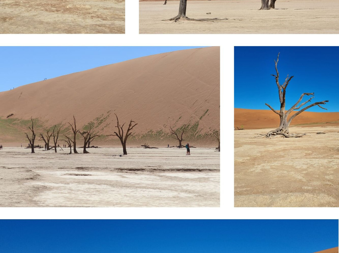 Deadvlei-苏丝斯黎必去景点