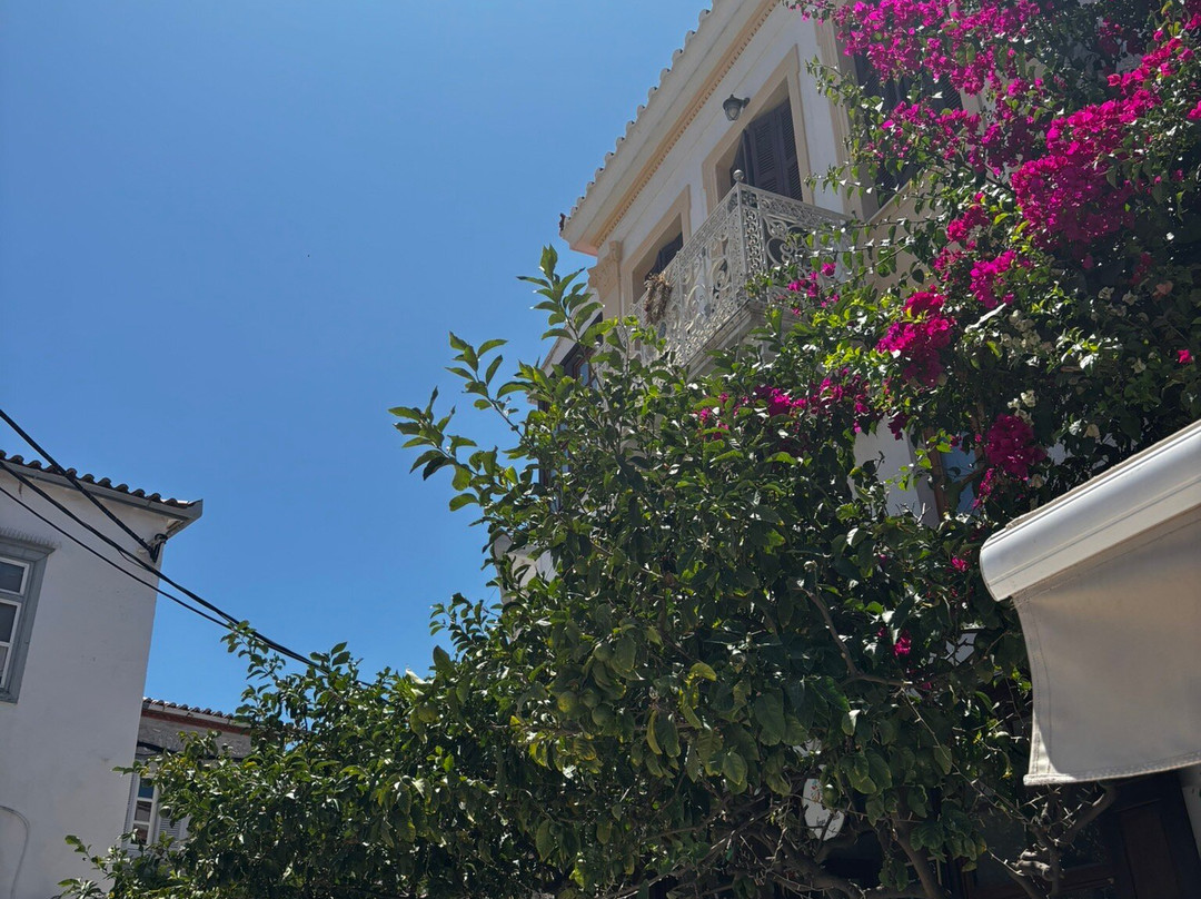 Pegasus Cruises-Tolon必去景点