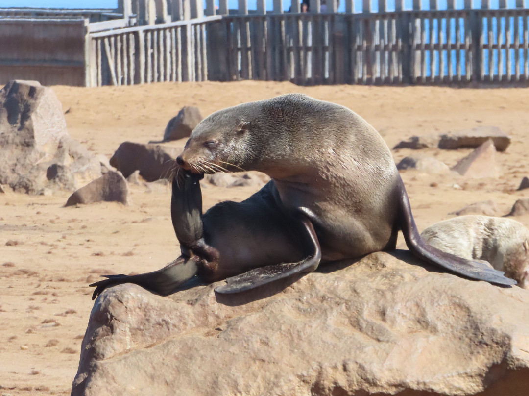 Cape Cross-Erongo Region必去景点