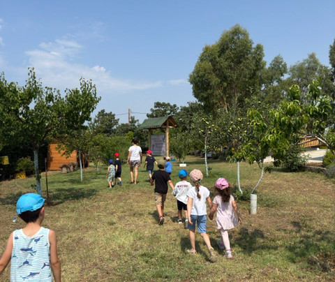Bee Garden-Nea Redestos必去景点