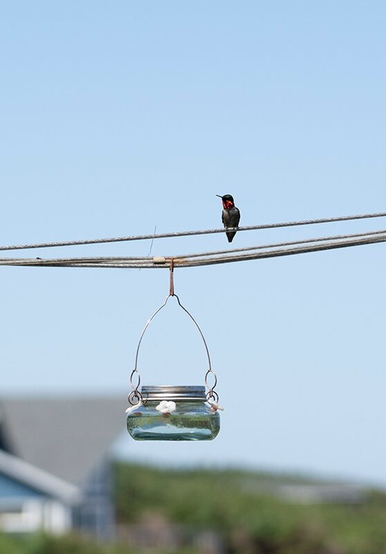 Johnson Shore Inn主图