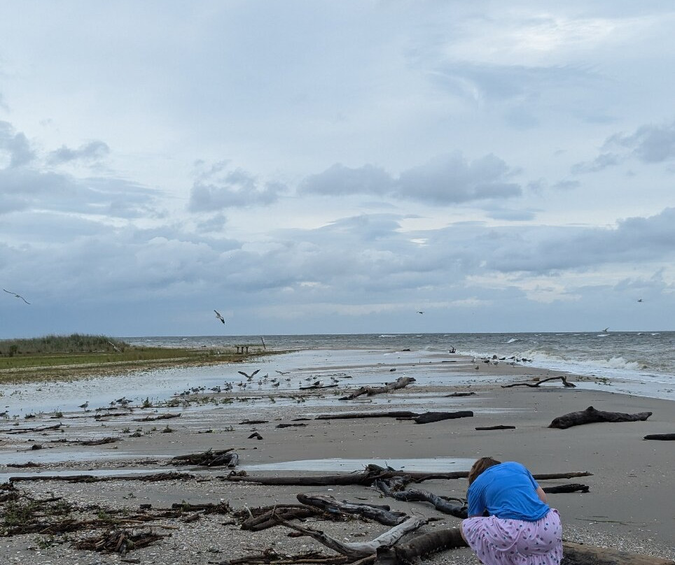 Flag Ponds Nature Park-Lusby必去景点