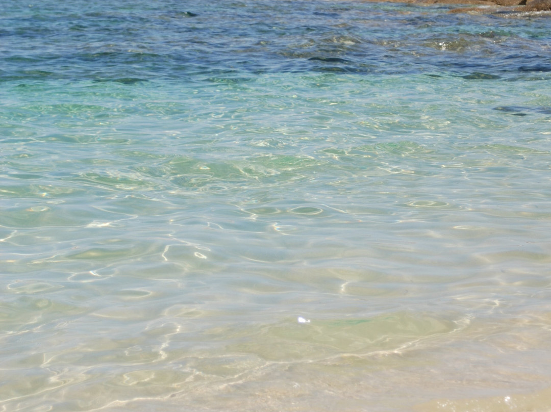 Kriartisi Beach-Kalamitsi必去景点