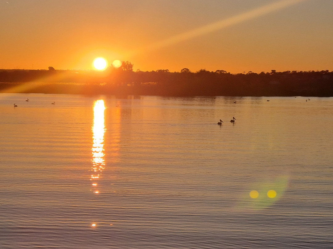 Captain Proud Paddle Boat Cruises-Murray Bridge必去景点