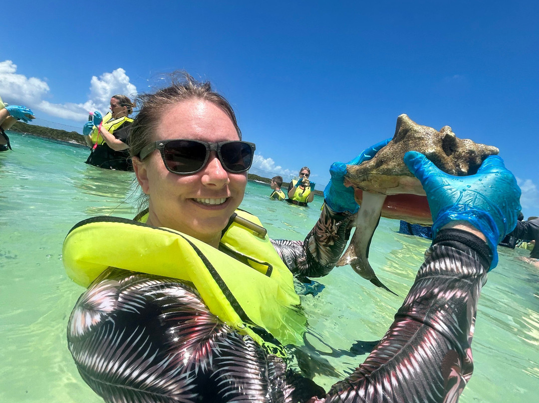 Sting ray Adventure-Little San Salvador Island (Half Moon Cay)必去景点