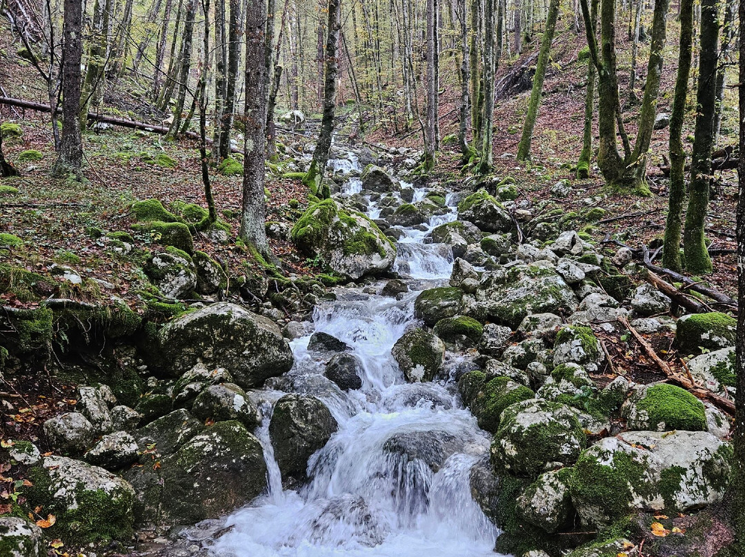 Mostnica Gorge-Stara Fuzina必去景点