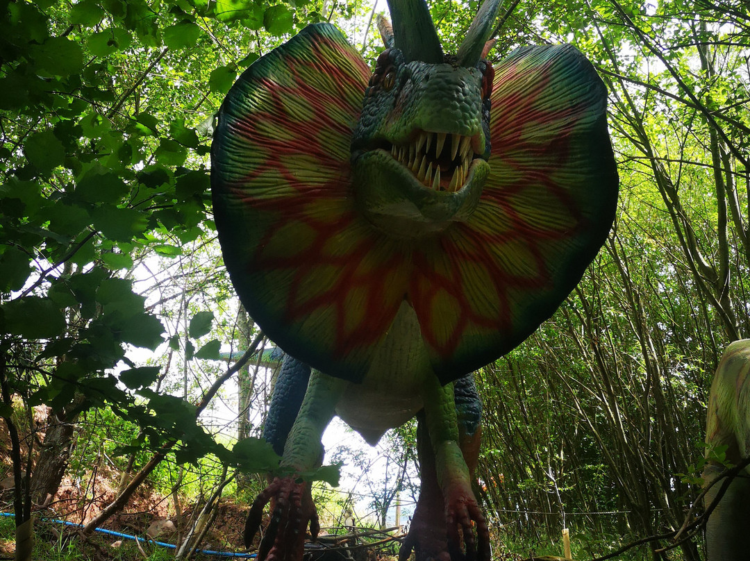 Cantref Adventure Farm and Riding Centre-布雷肯必去景点