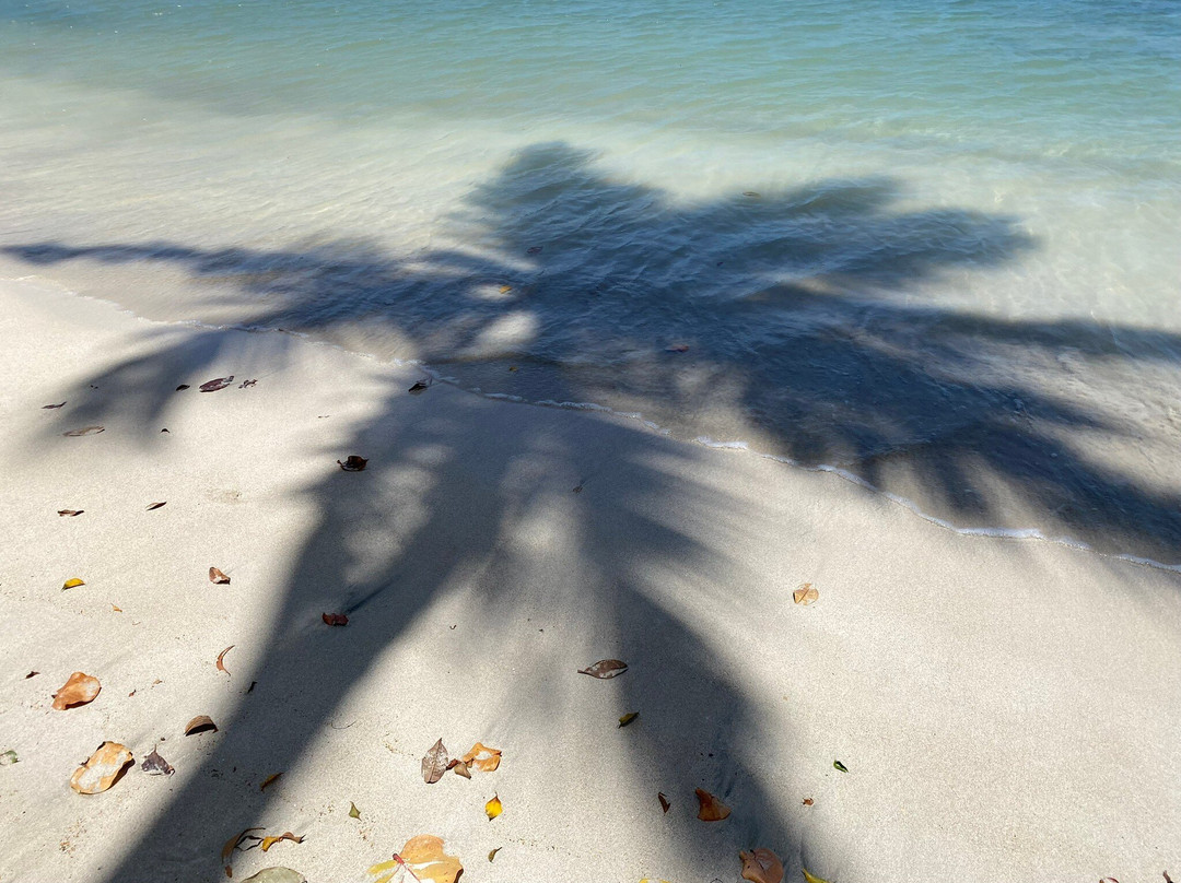 Mandela Court Grenada主图