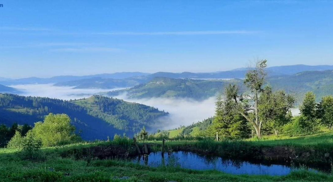 Cabana Pensiunea adi si mia cu pastravarie