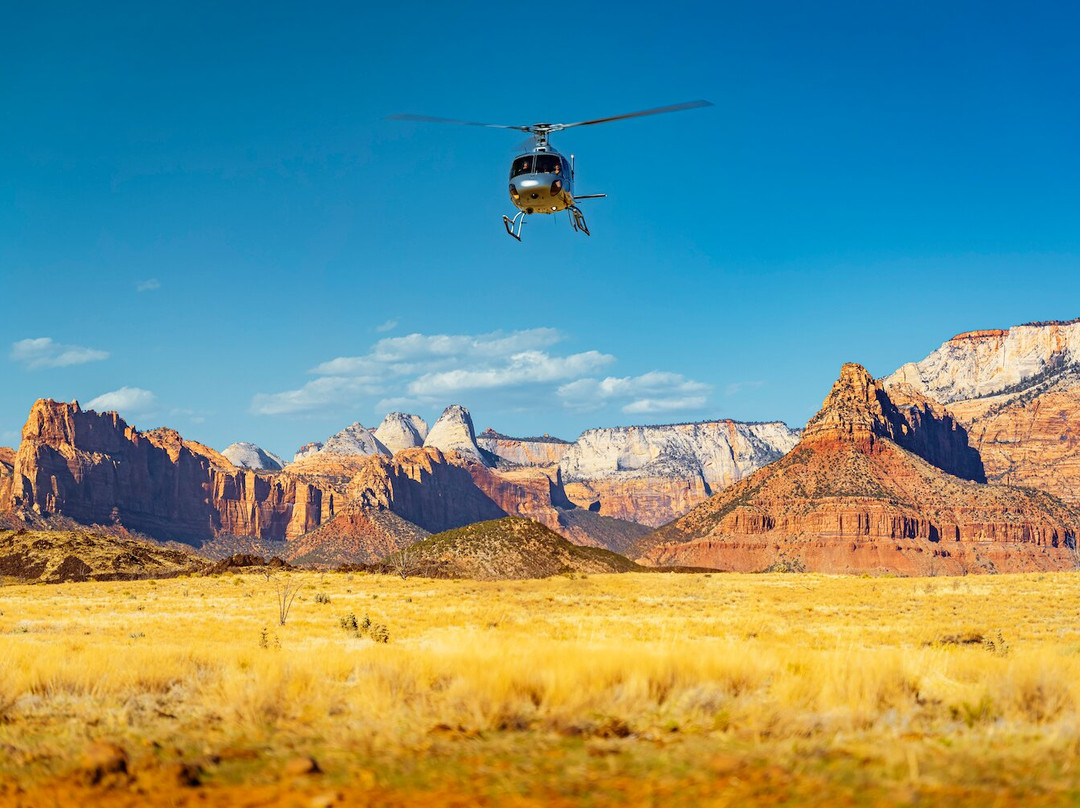 Zion Helicopters-Virgin必去景点