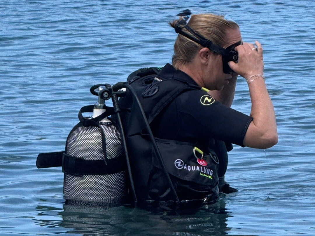 Alpha Plongée Martinique-Les Anses d'Arlet必去景点