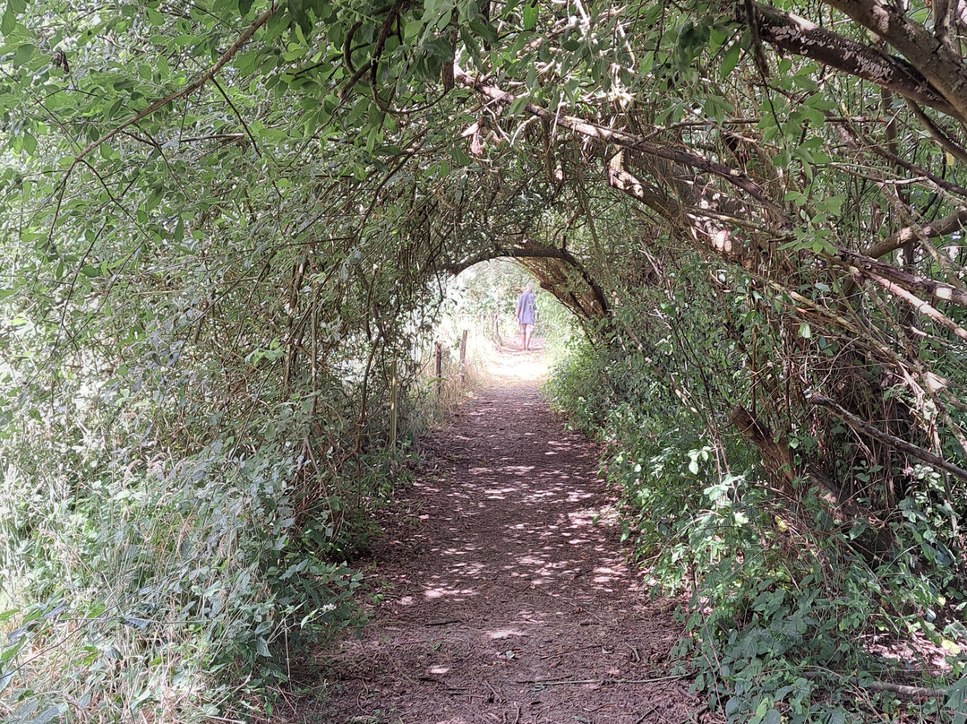 Jardin Botanique de Marnay sur Seine-Marnay-sur-Seine必去景点