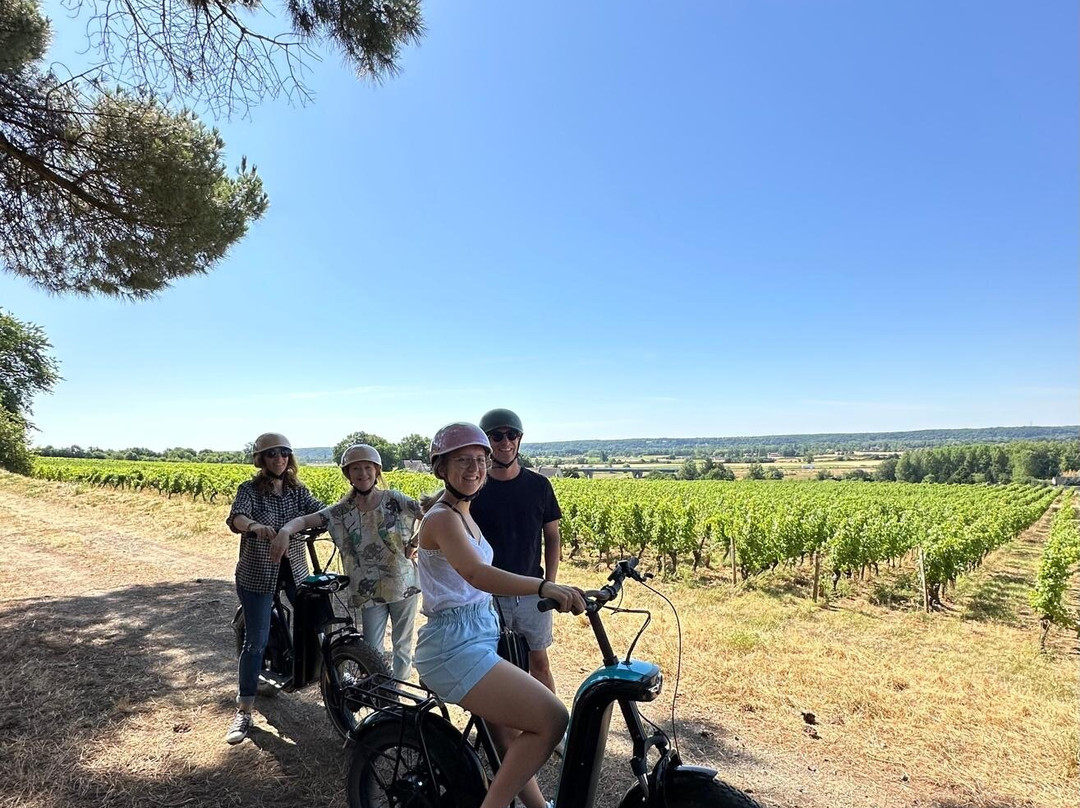 O Coeur des Vignes-Coteaux-sur-Loire必去景点