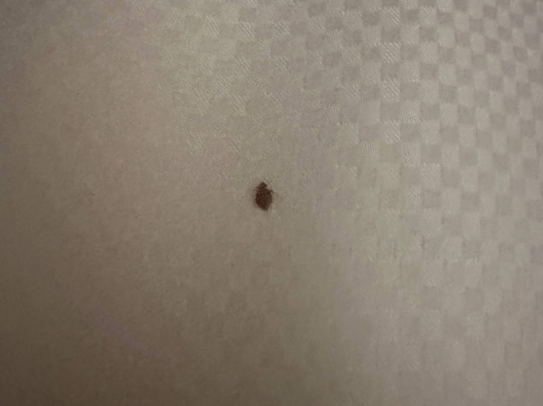 Comfort Inn & Suites主图