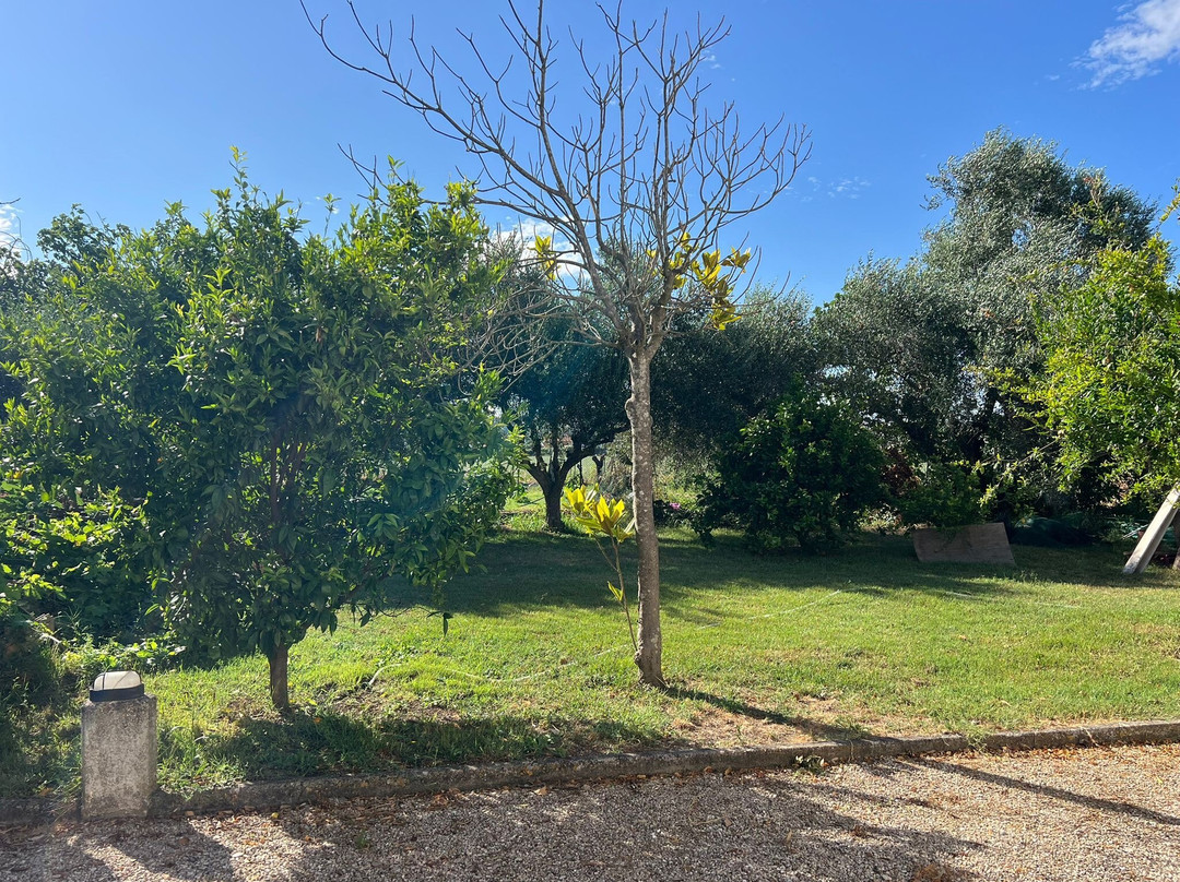 B & B Sotto le Stelle主图