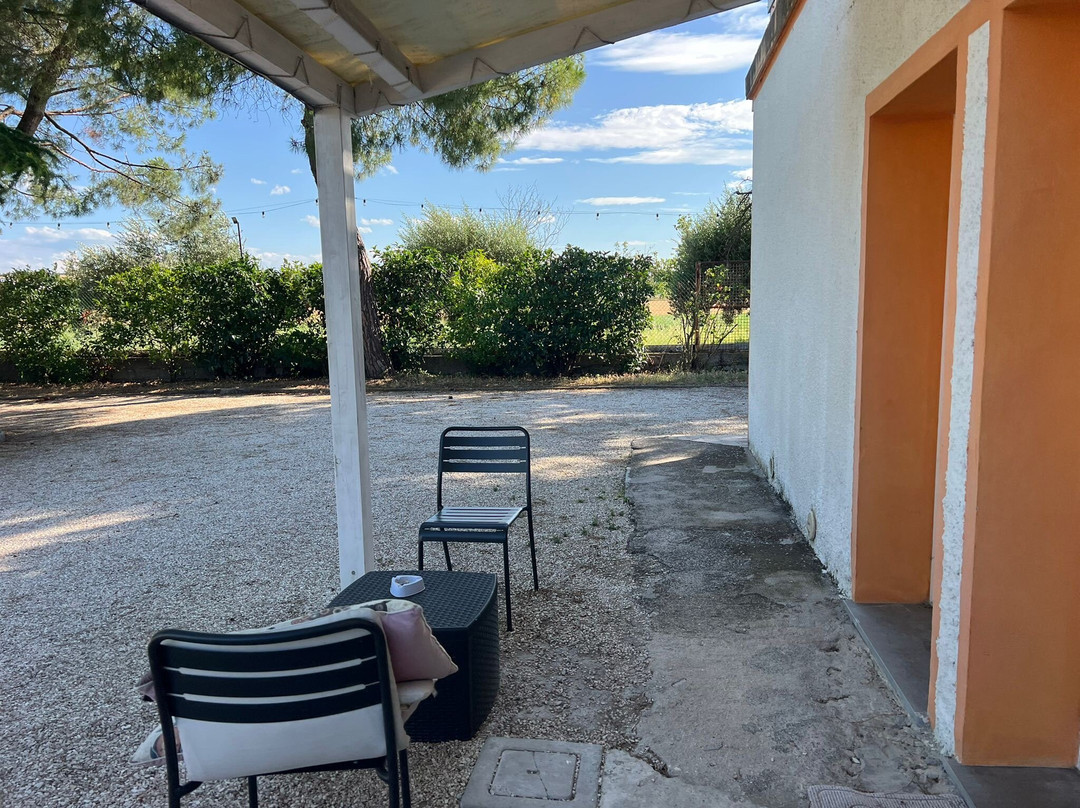 B & B Sotto le Stelle主图