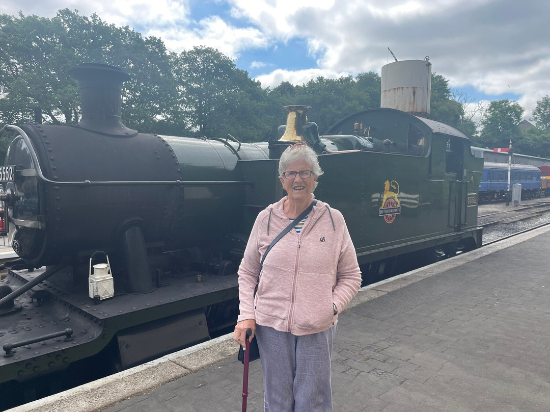 Bodmin & Wenford Railway-博德明必去景点