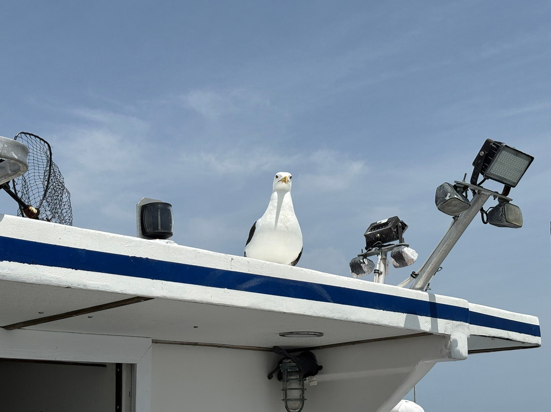 Sunbeam Fleet-Waterford必去景点