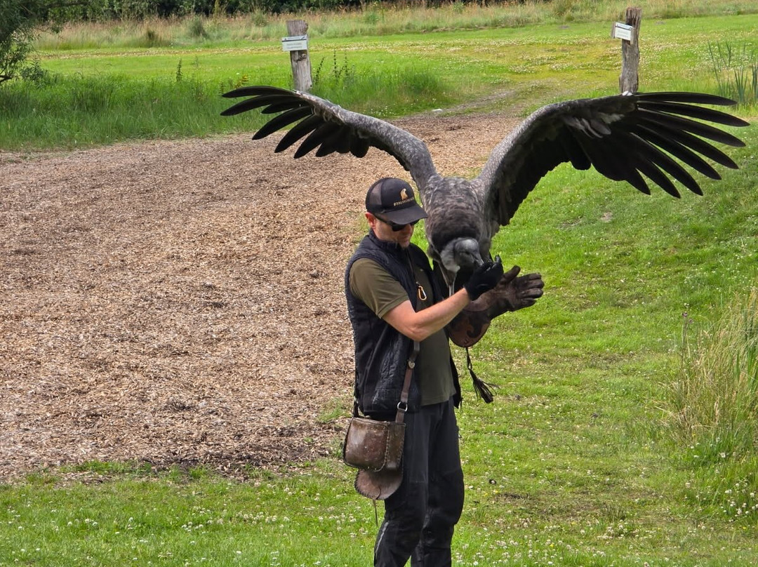 Eagle World-Bindslev必去景点