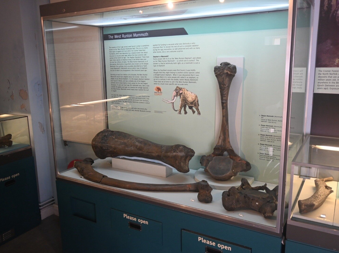 Cromer Museum-克罗默必去景点