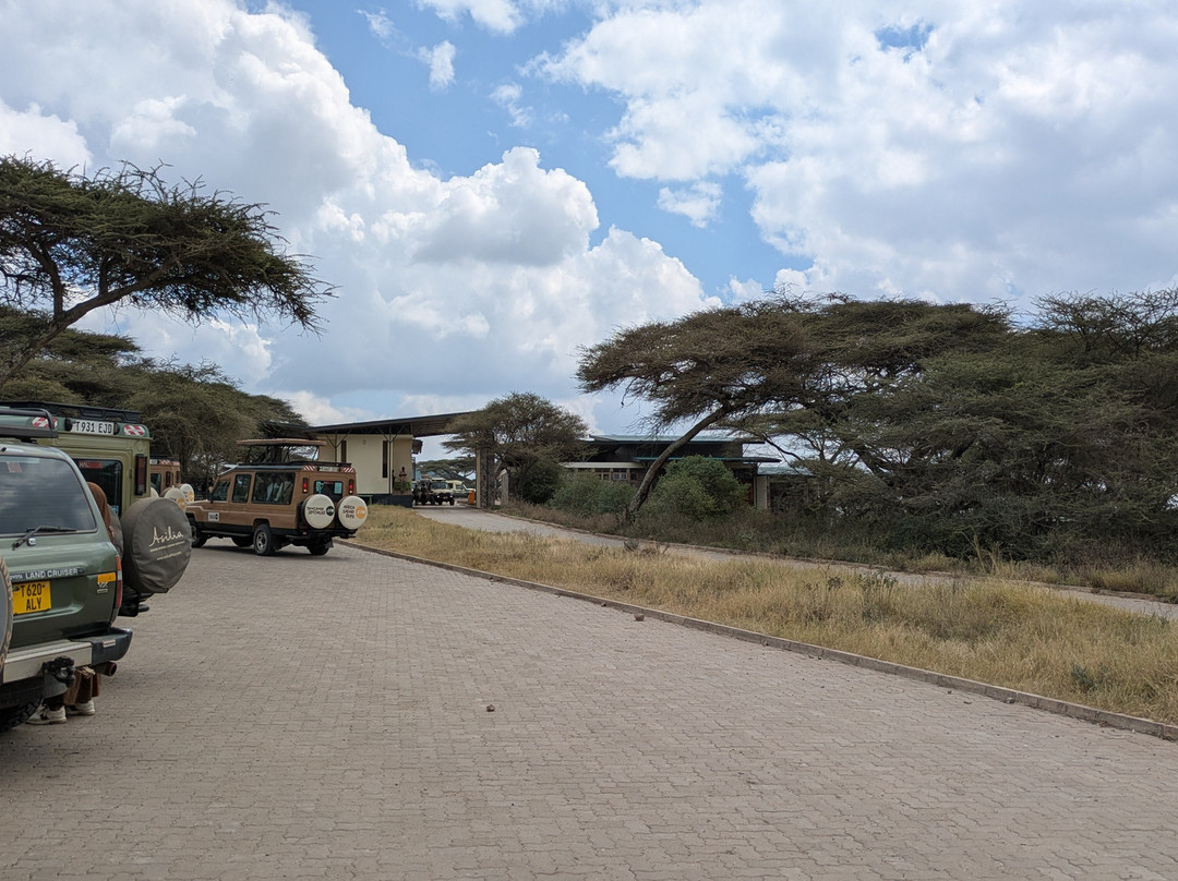 Naabi Hill-塞伦盖蒂国家公园必去景点