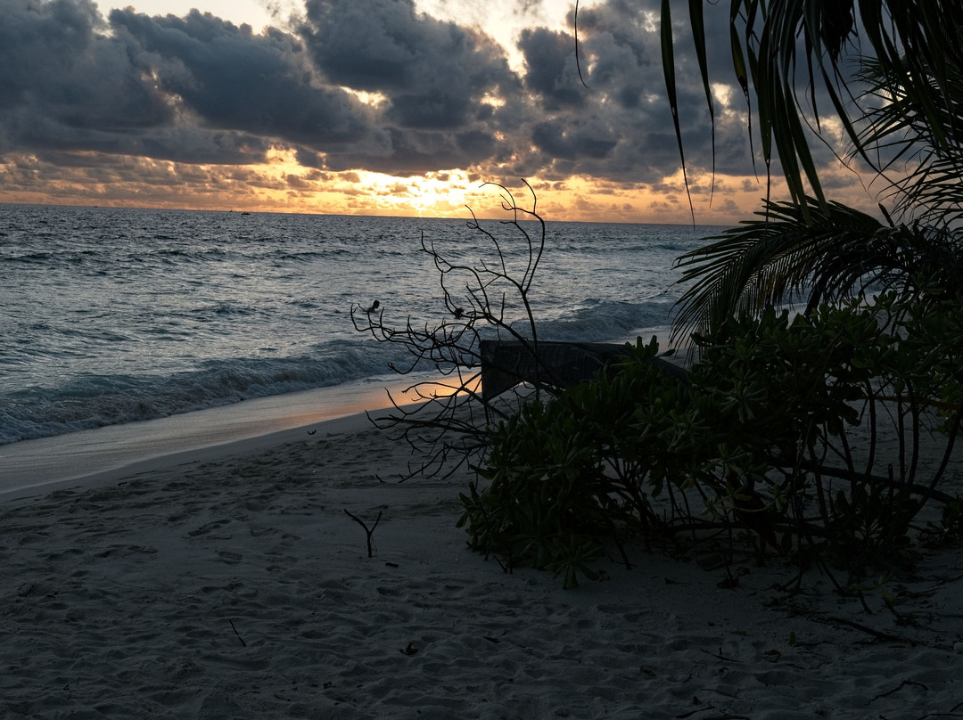 Nala Veli Beach & Spa主图