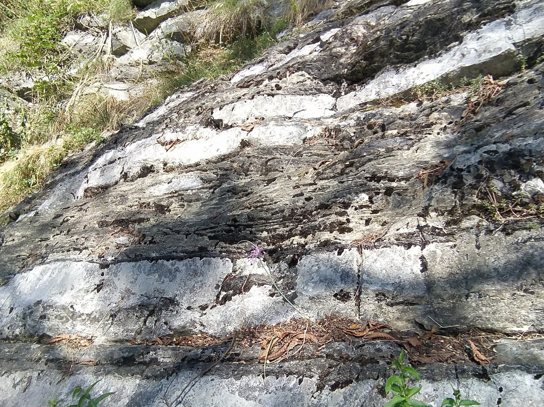 Sentiero Geologico Canzo - Terz'Aple-Canzo必去景点