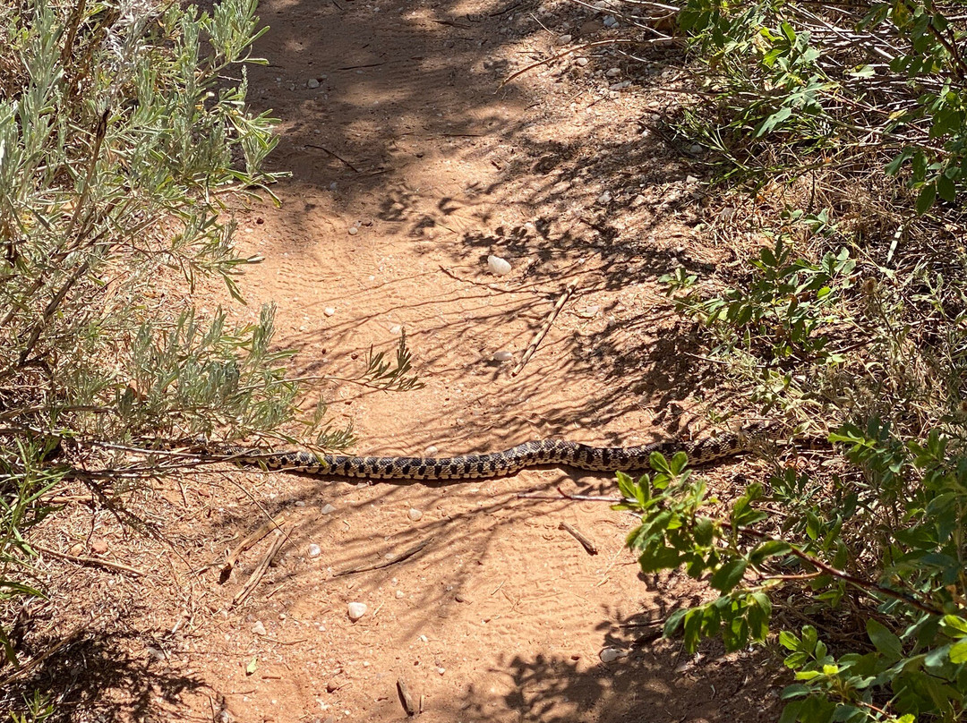Bangs Canyon Trailhead-大章克申必去景点