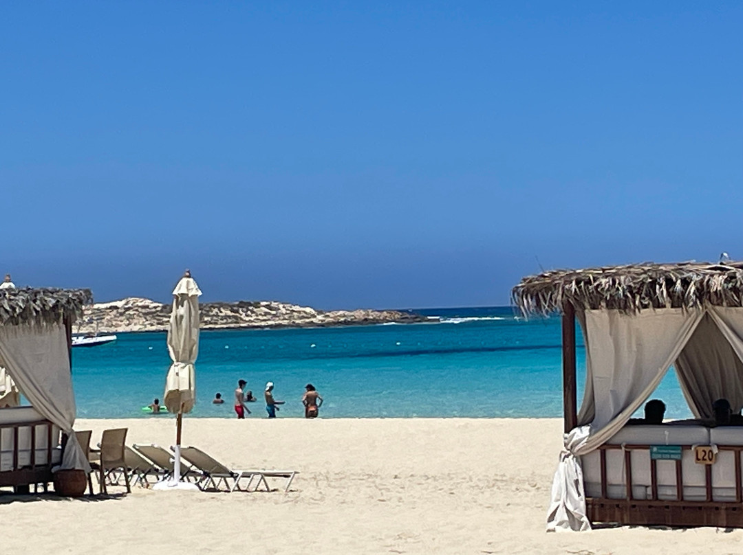 JAZ Elite Crystal, Almaza Bay主图