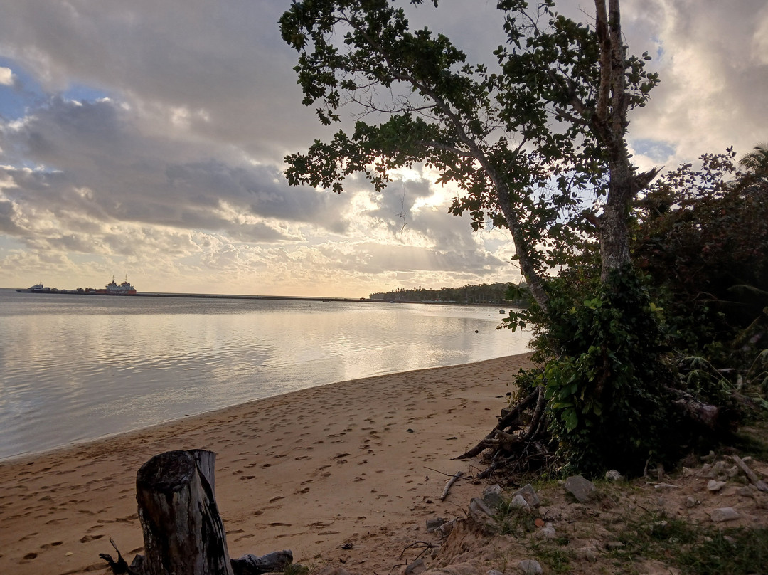 Heli-Tours Fiji-纳迪市必去景点