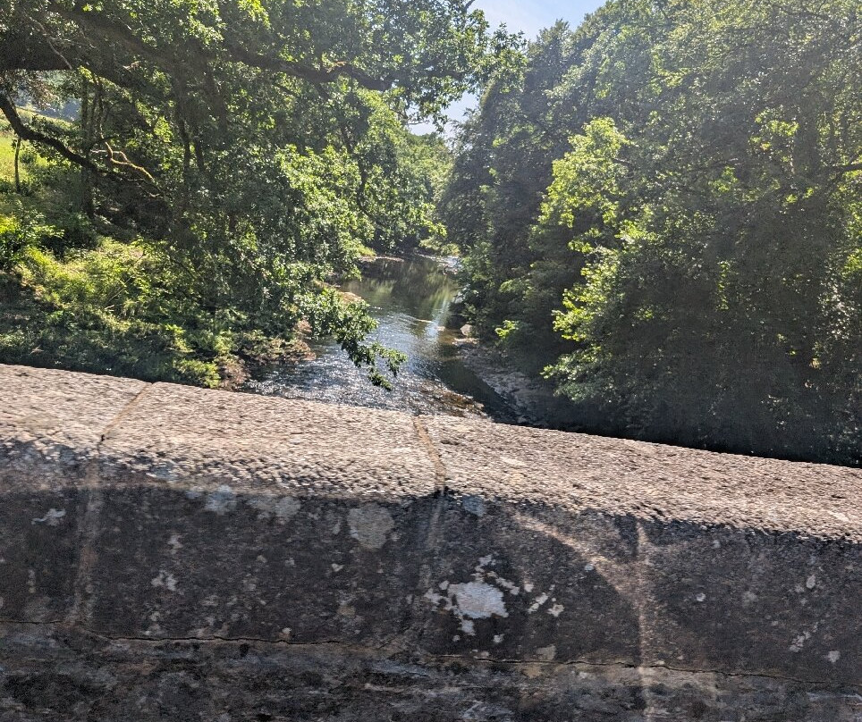 River Dart Country Park-Ashburton必去景点