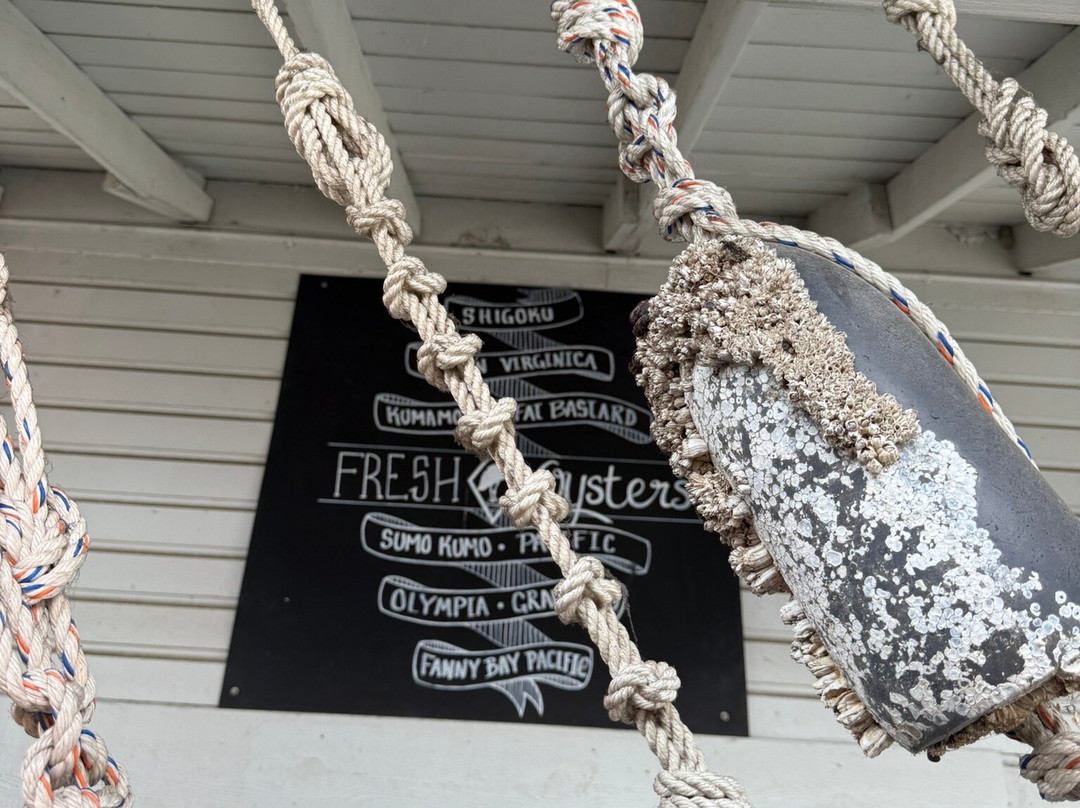 Taylor Shellfish Farms-Bow必去景点