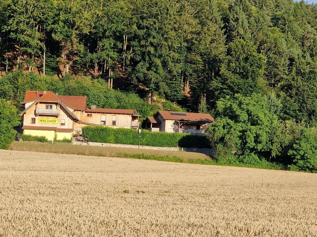 Hotel Restaurant Waldhof主图