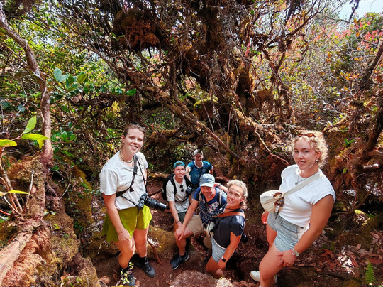 Lets Go Discovery (LGDTT)-丹那拉塔必去景点