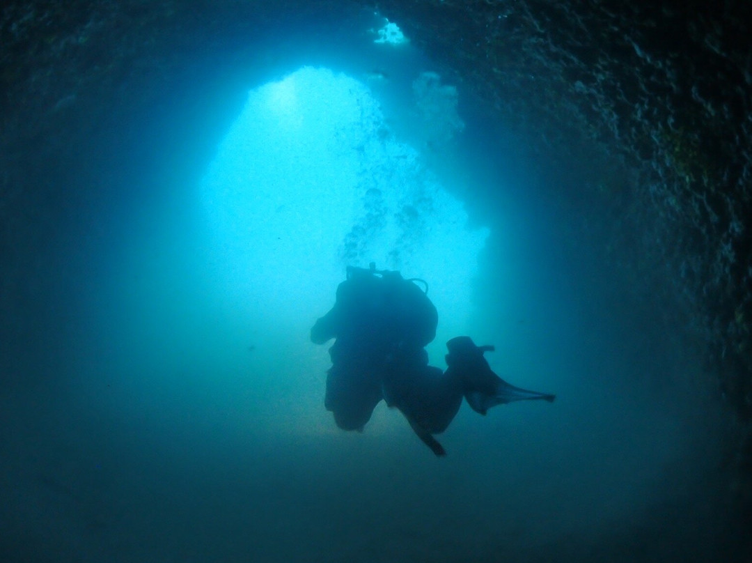 Starfish Diving Center-弗萨必去景点