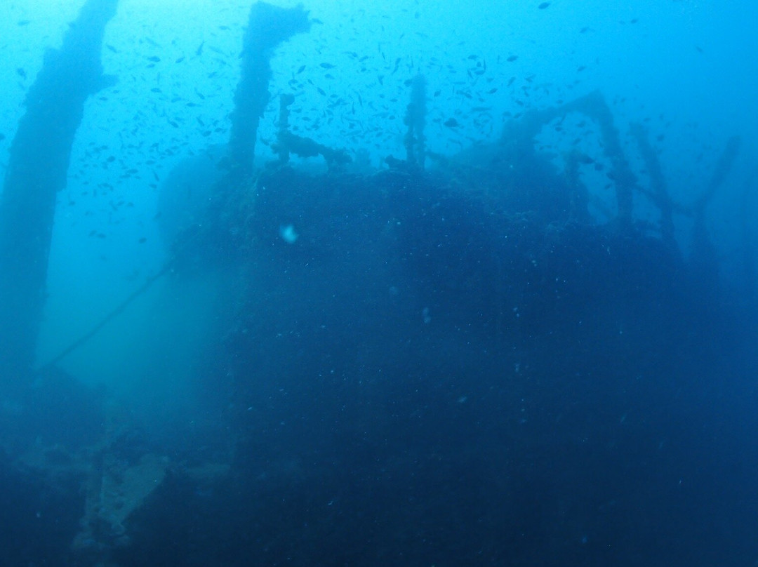 Starfish Diving Center-弗萨必去景点