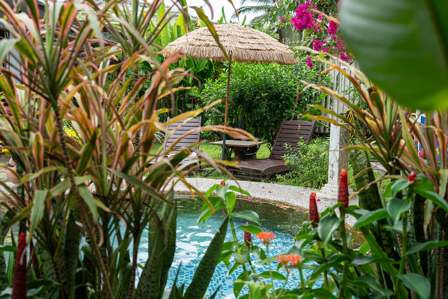 自行车之旅住宿加早餐旅馆-泳池