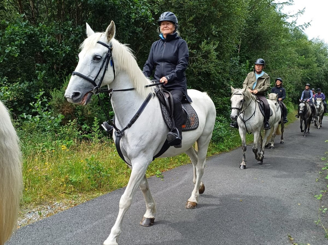 Connemara Equestrian Escapes-Moycullen必去景点