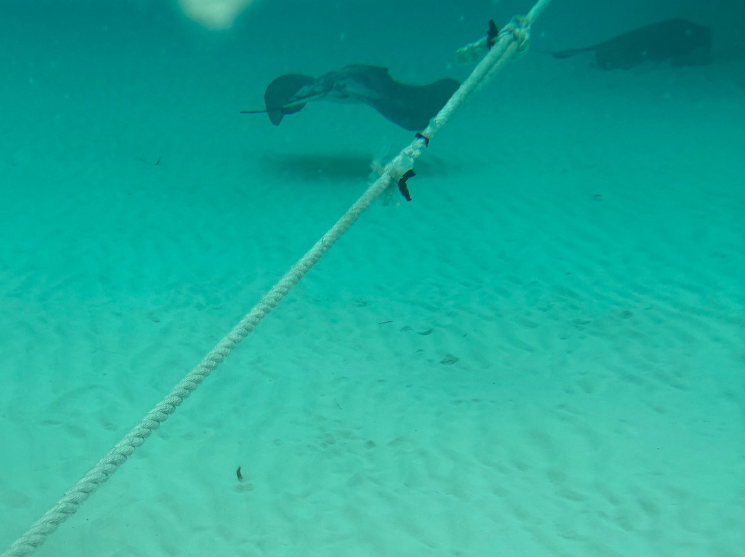 Playa El Cielo-考祖梅必去景点