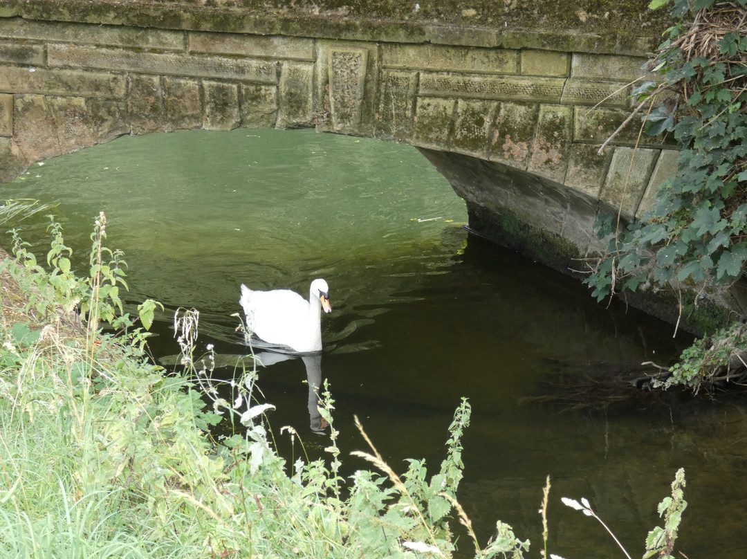 Yarwell Mill Country Park-Yarwell必去景点