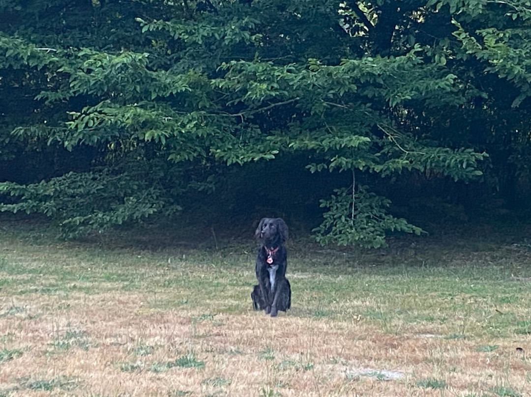 Maison d'Emmannaelle主图