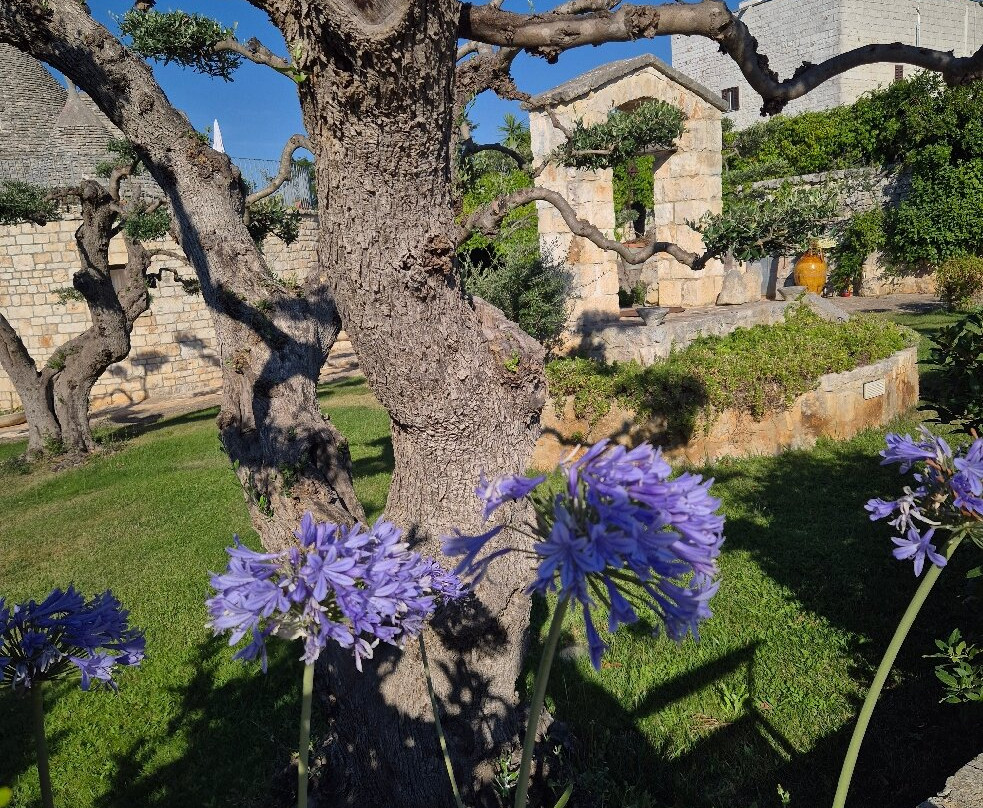 B & B Masseria Montanaro主图