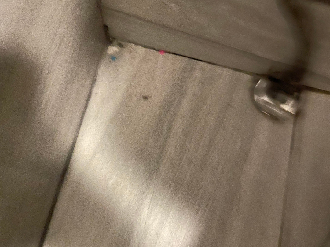 Best Western Plus Flint Airport Inn & Suites主图