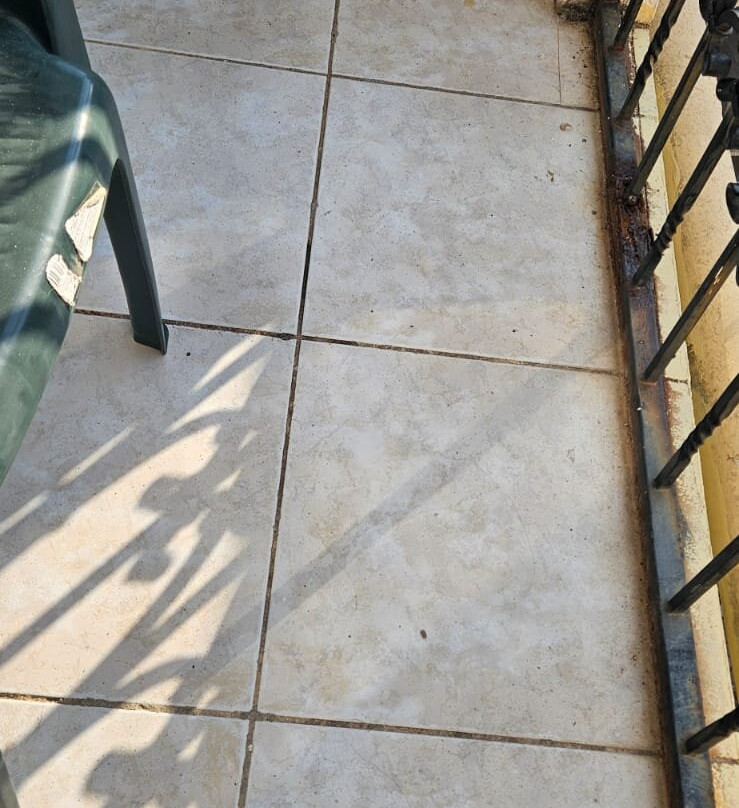 Hotel Sirena Marta主图