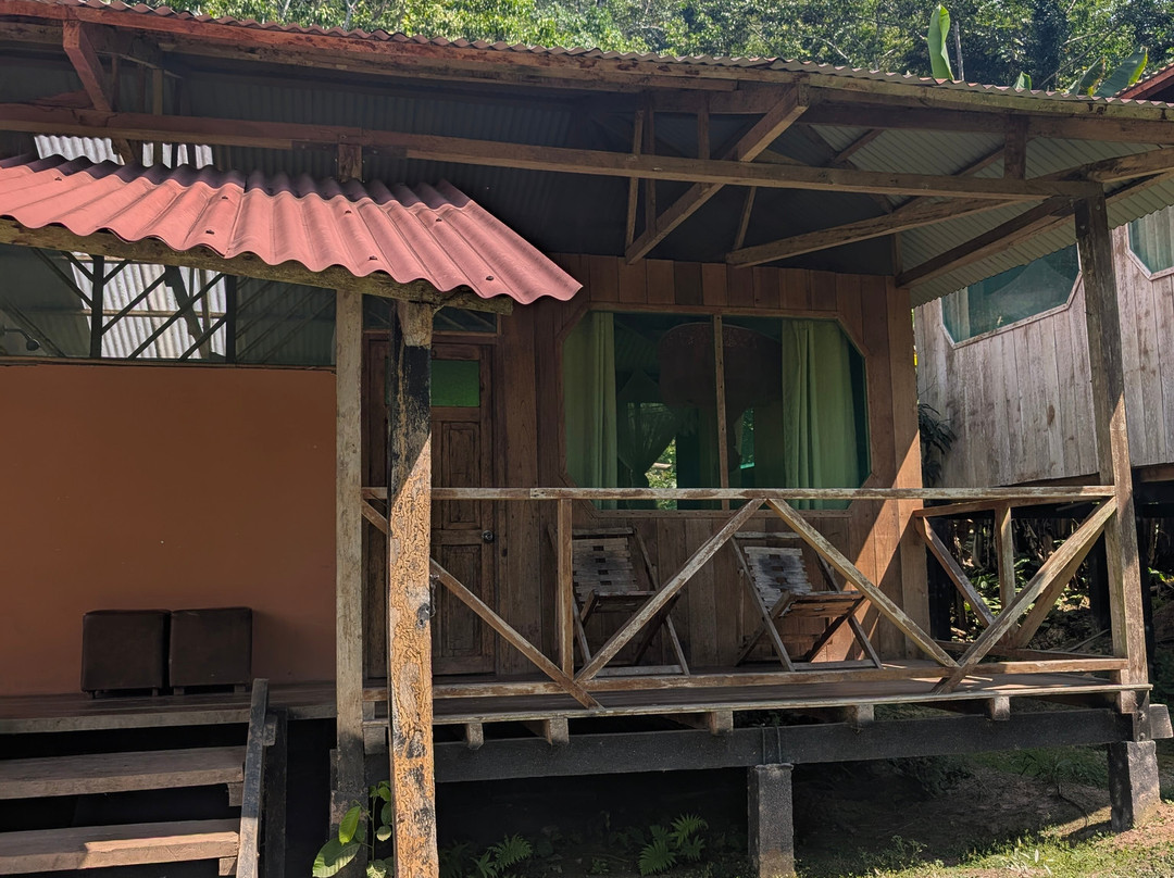 EXPEDICIONES VILCA-Manu必去景点