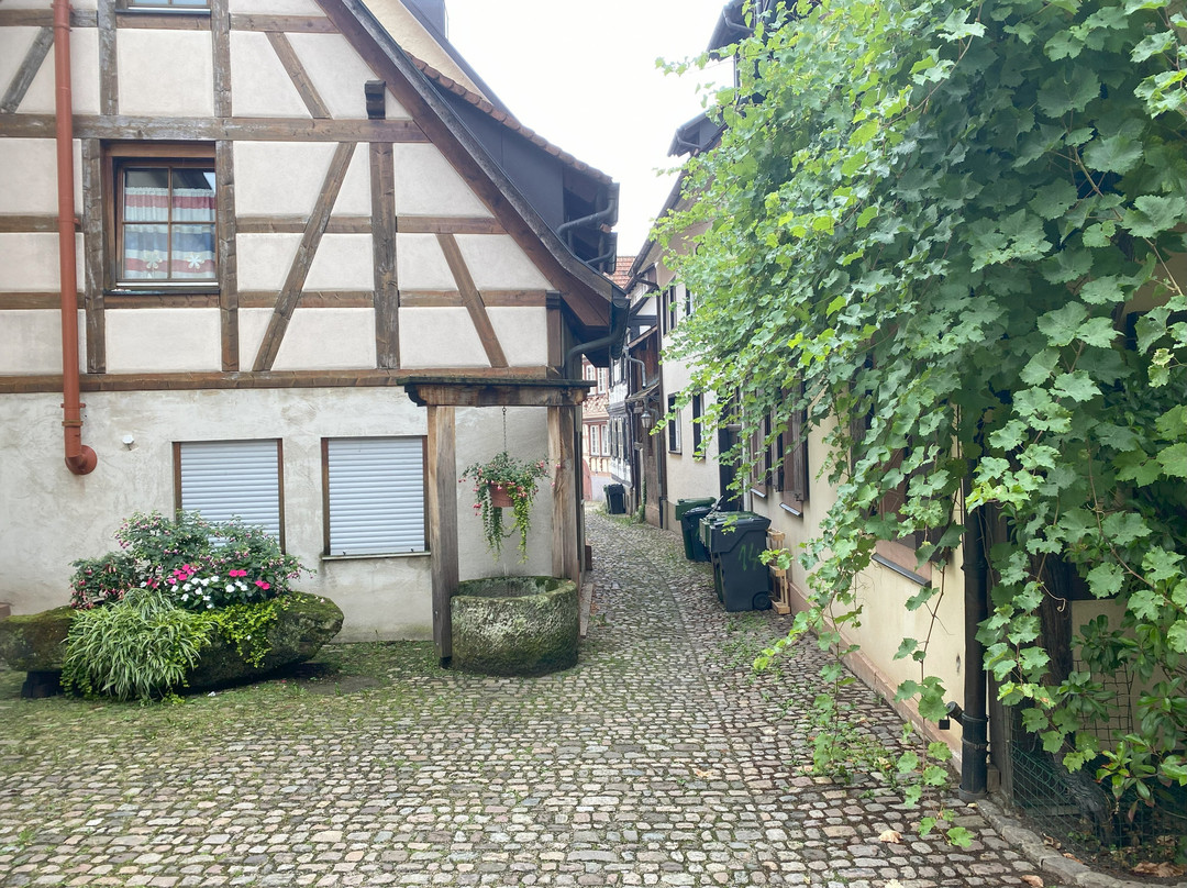 Calleja Engelgasse-根根堡必去景点