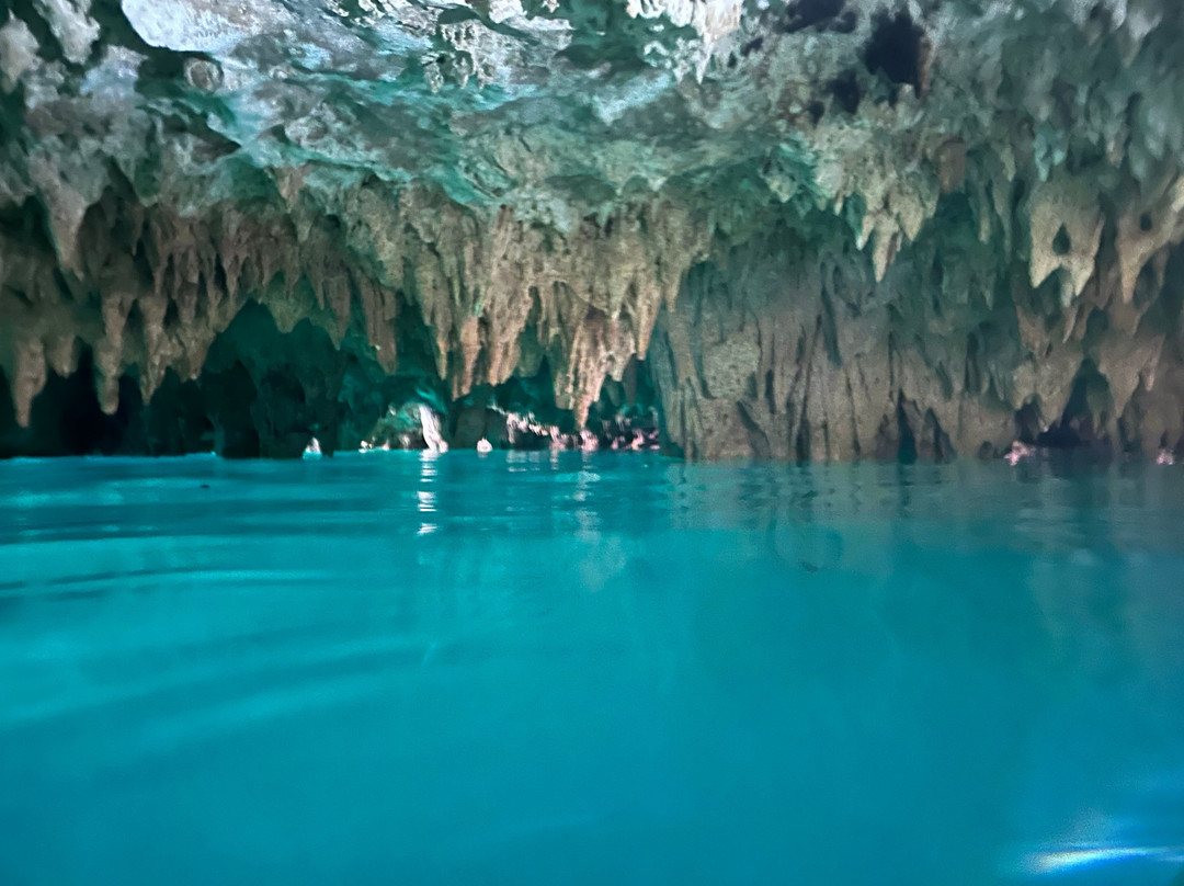 Cenotes-Cuzama必去景点