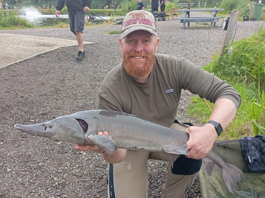 Vispark Toms Creek-莱利斯塔德必去景点